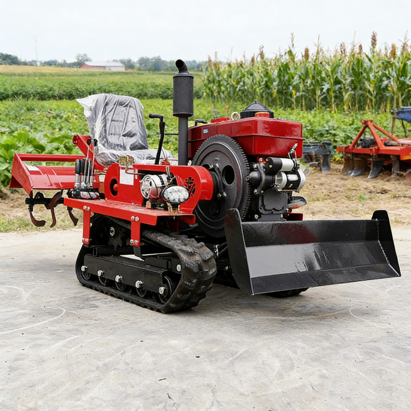 Customized Multifunctional Cra - Tractor Backhoe 评论和价格