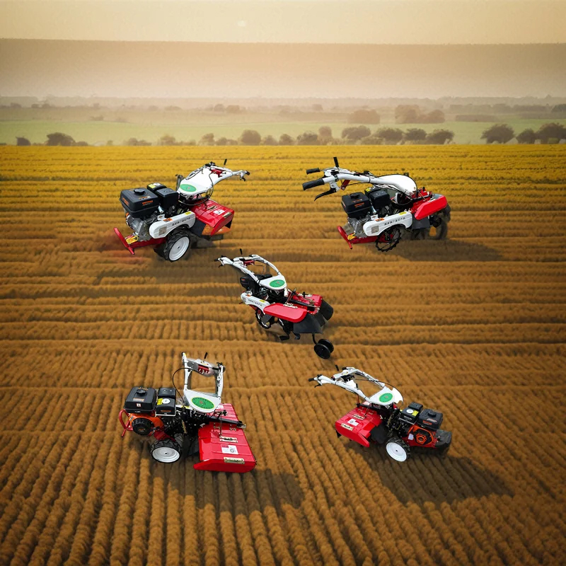 Mini Backhoe Loader with Diese - Tractor Backhoe 评论和价格