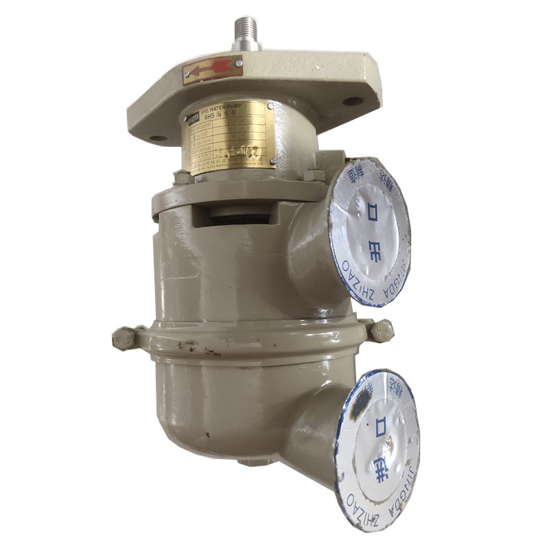 Marine Diesel Engine Spare Par - Diesel Water Pump 评论和价格